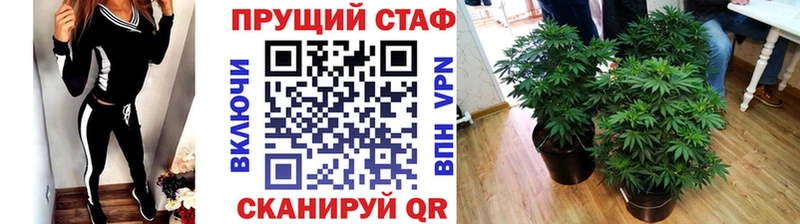 Виды наркотиков купить Нововоронеж Alpha-PVP  Бошки Шишки  АМФЕТАМИН  Гашиш  МЕФ 