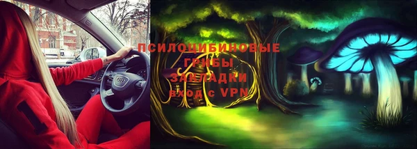 мдпв Михайловск