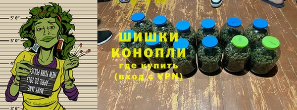 бошки Мегион