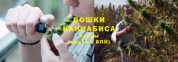 СК Медногорск