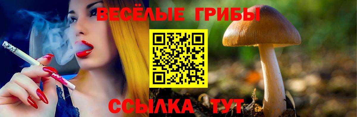 цена наркотик  Галлюциногенные грибы ЛСД  Вход с VPN  Нововоронеж 